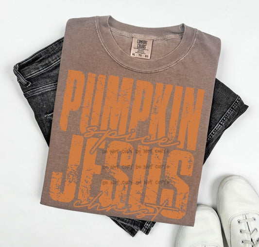 Pumpkin Spice and Jesus Christ TeeT-Shirt